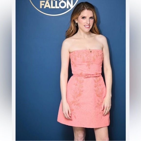 Carolina Herrera SZ 12 Embroidered Slub Cotton Mini Dress Resort 25’ Sunset NWT - Picture 2 of 16